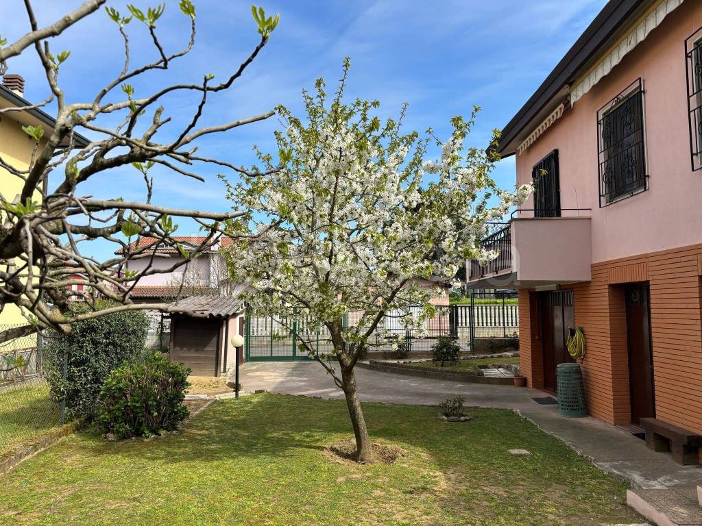 immagine annuncio 7 di 15