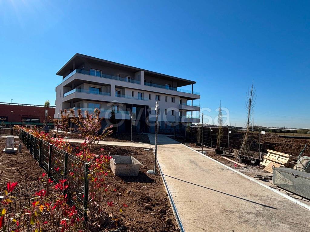 immagine annuncio 4 di 10