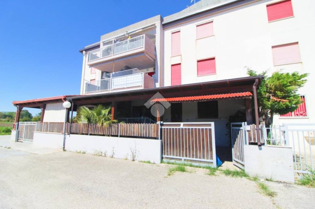 immagine annuncio 12 di 13