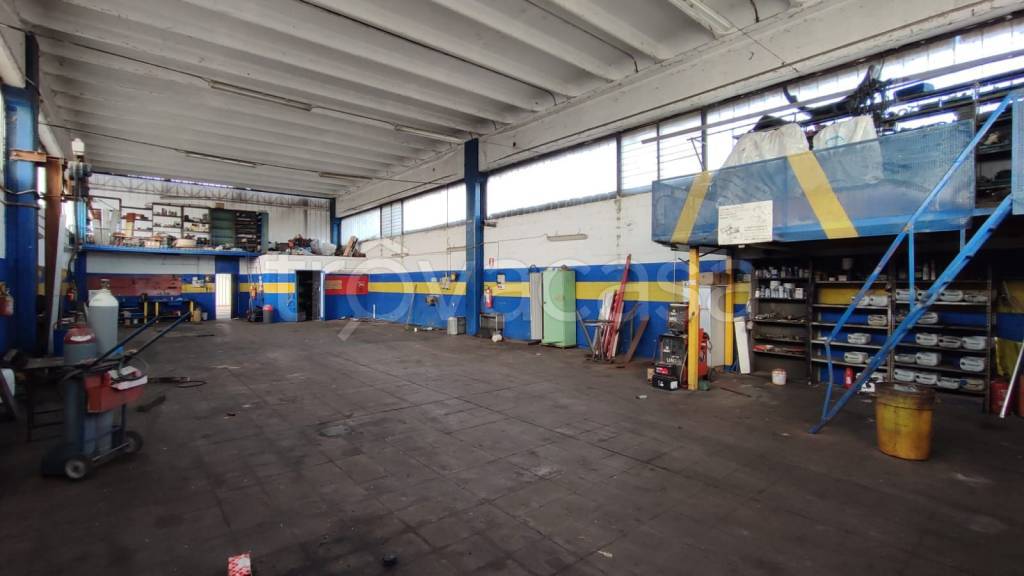 immagine annuncio 3 di 13