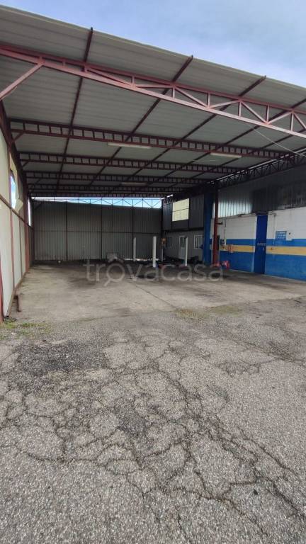 immagine annuncio 5 di 13