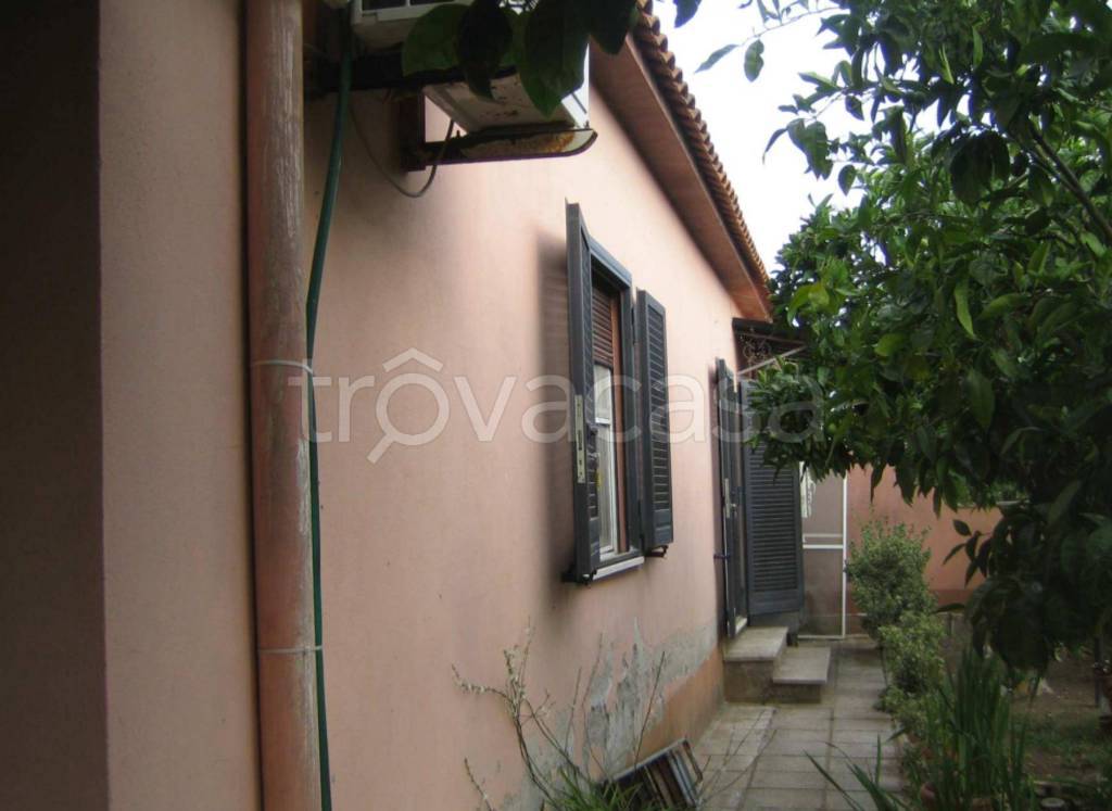 immagine annuncio 7 di 11