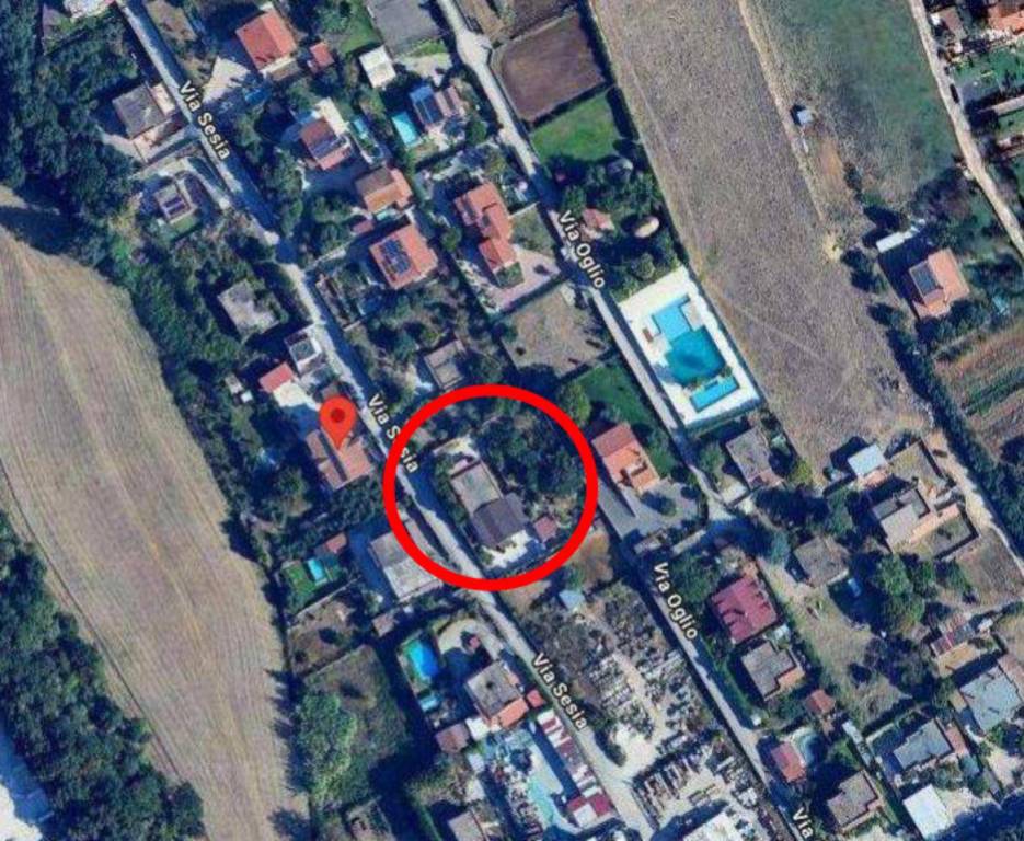 immagine annuncio 10 di 11