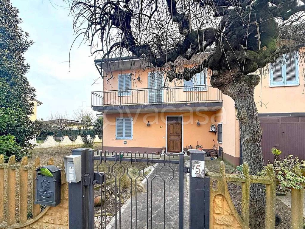 immagine annuncio 2 di 15