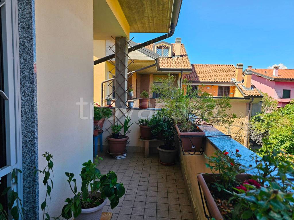 immagine annuncio 7 di 15