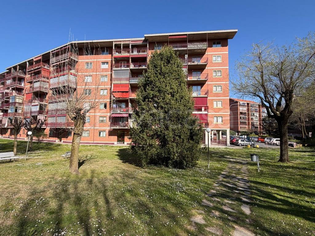 immagine annuncio 1 di 15