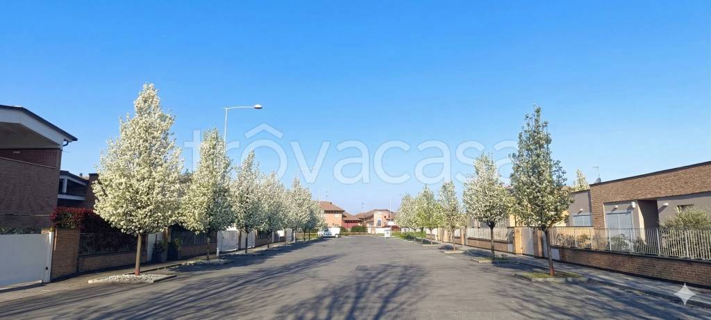 immagine annuncio 9 di 10