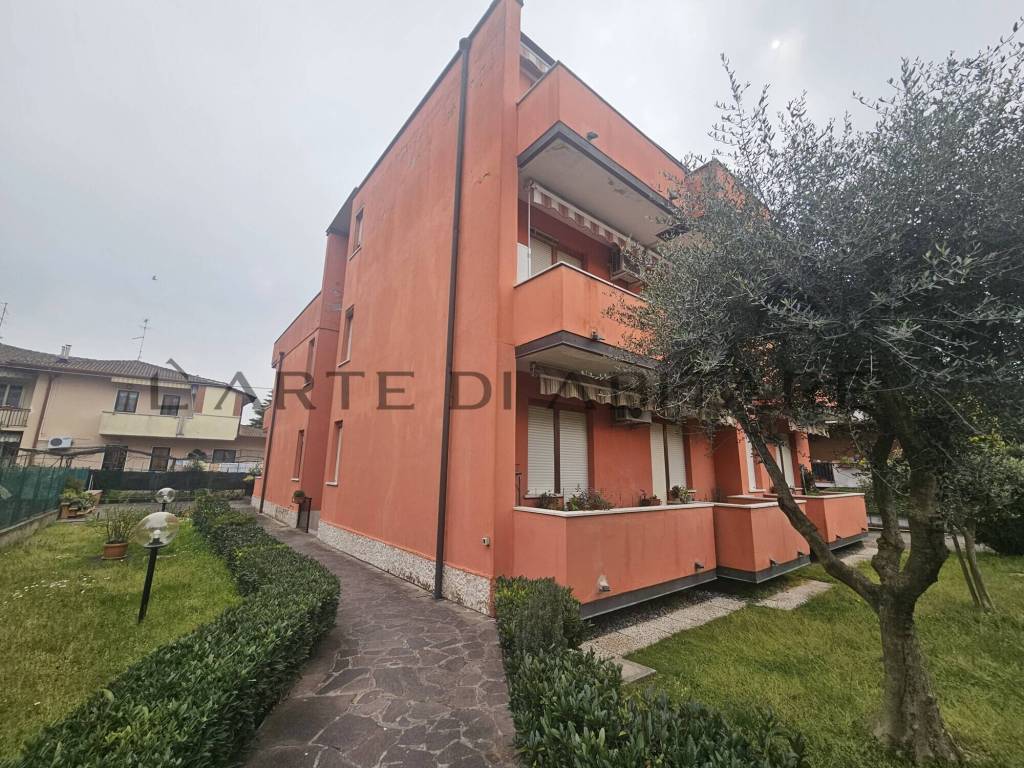 immagine annuncio 5 di 8