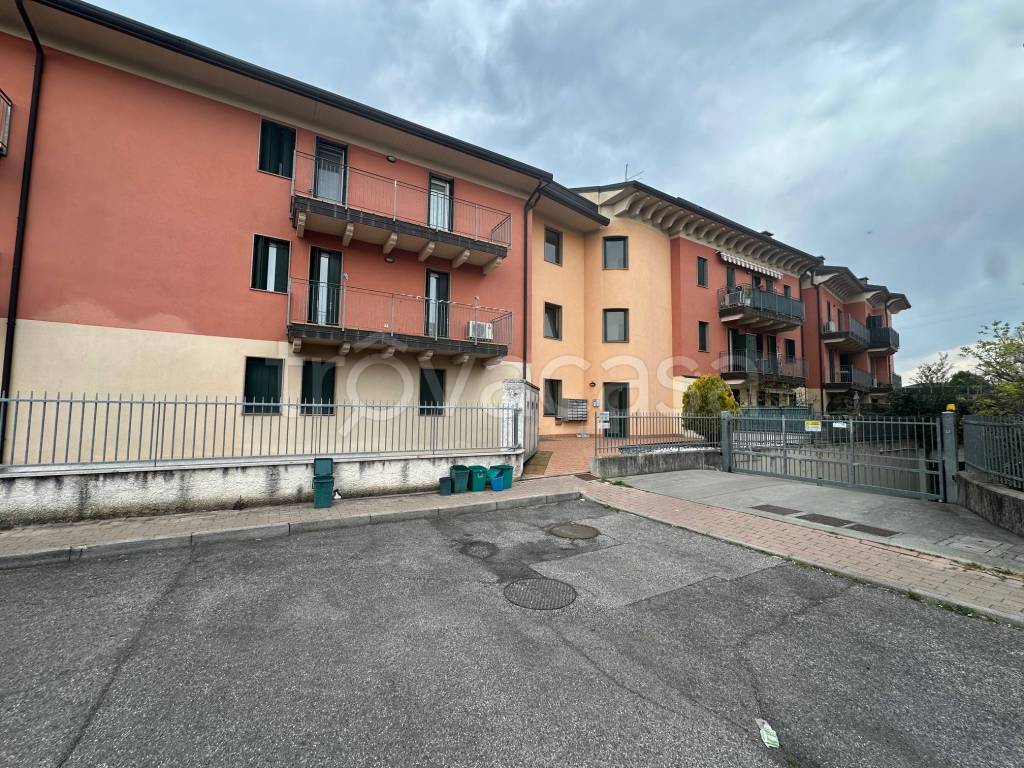 immagine annuncio 1 di 14