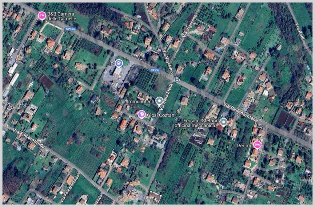 immagine annuncio 12 di 15