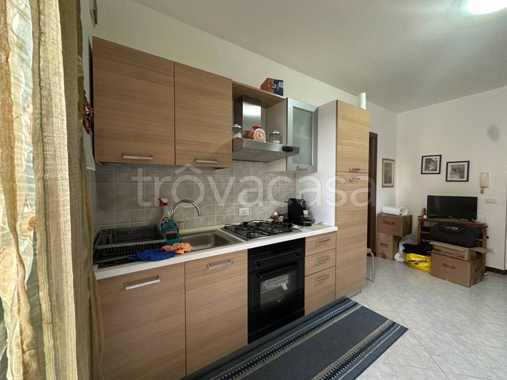 immagine annuncio 4 di 14