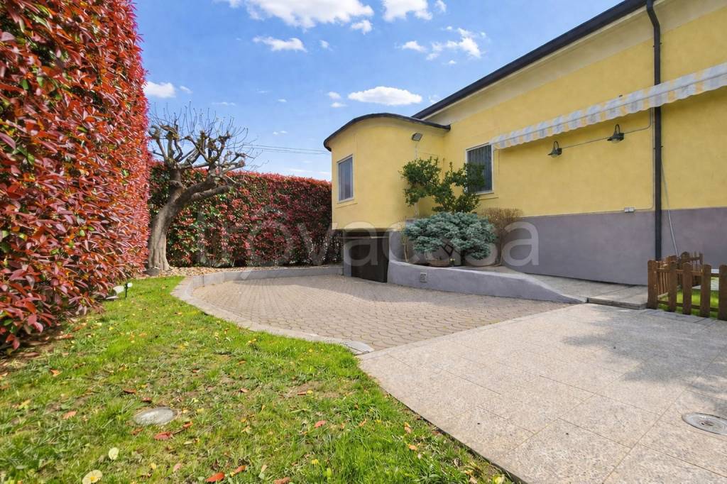 immagine annuncio 3 di 15