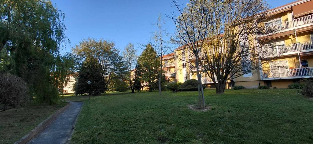 immagine annuncio 10 di 15