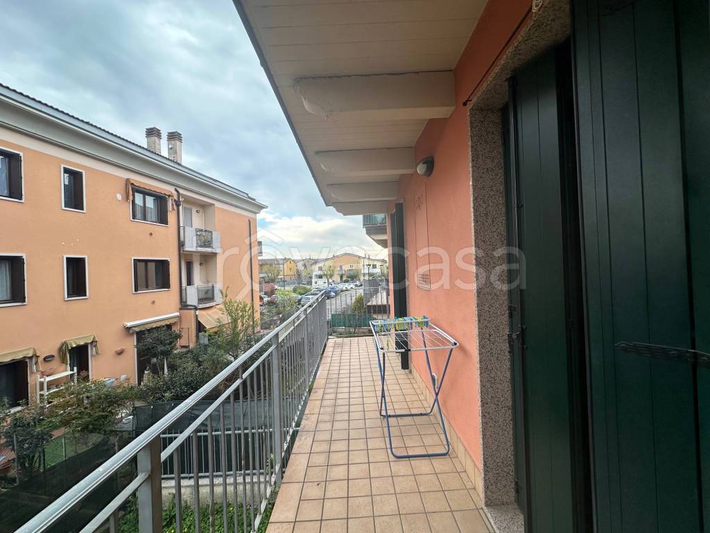 immagine annuncio 10 di 14