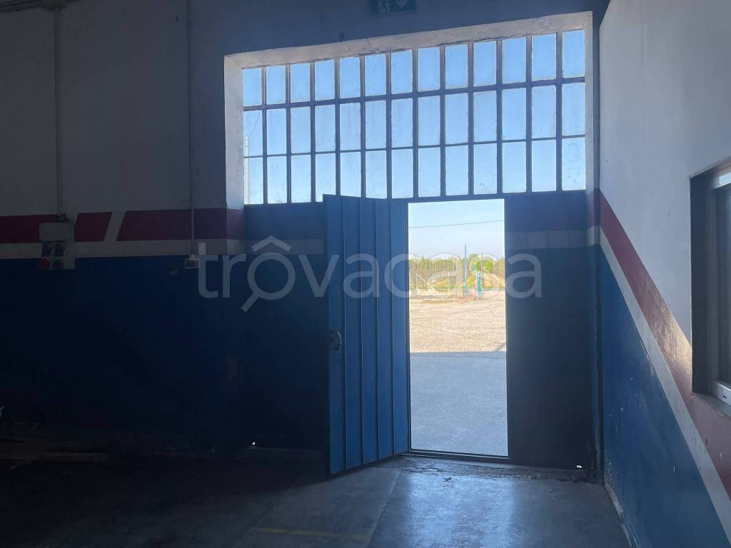 immagine annuncio 2 di 8