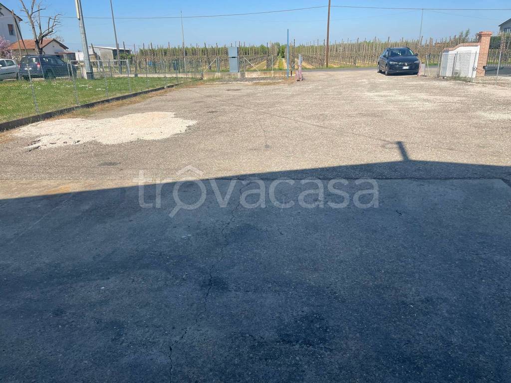 immagine annuncio 6 di 8