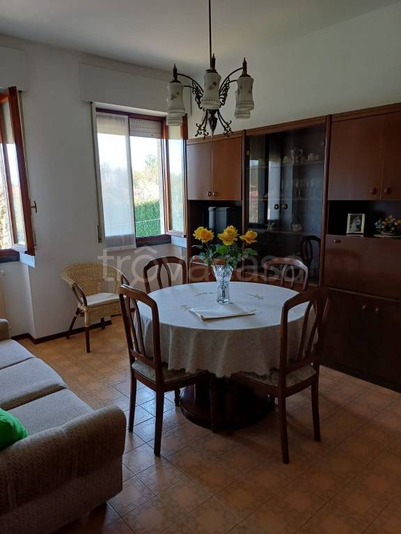 immagine annuncio 1 di 14