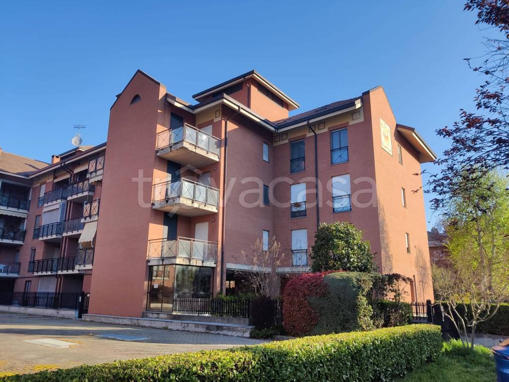 immagine annuncio 8 di 15