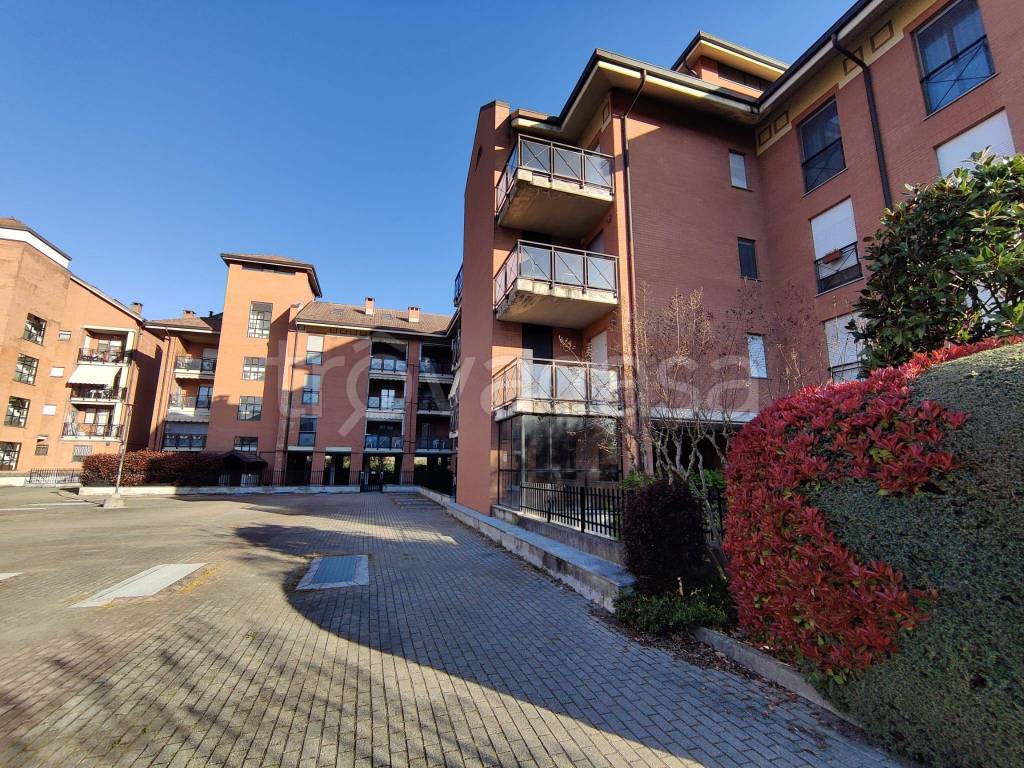 immagine annuncio 10 di 15