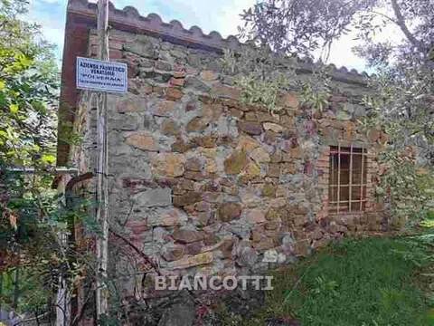 immagine annuncio 3 di 11