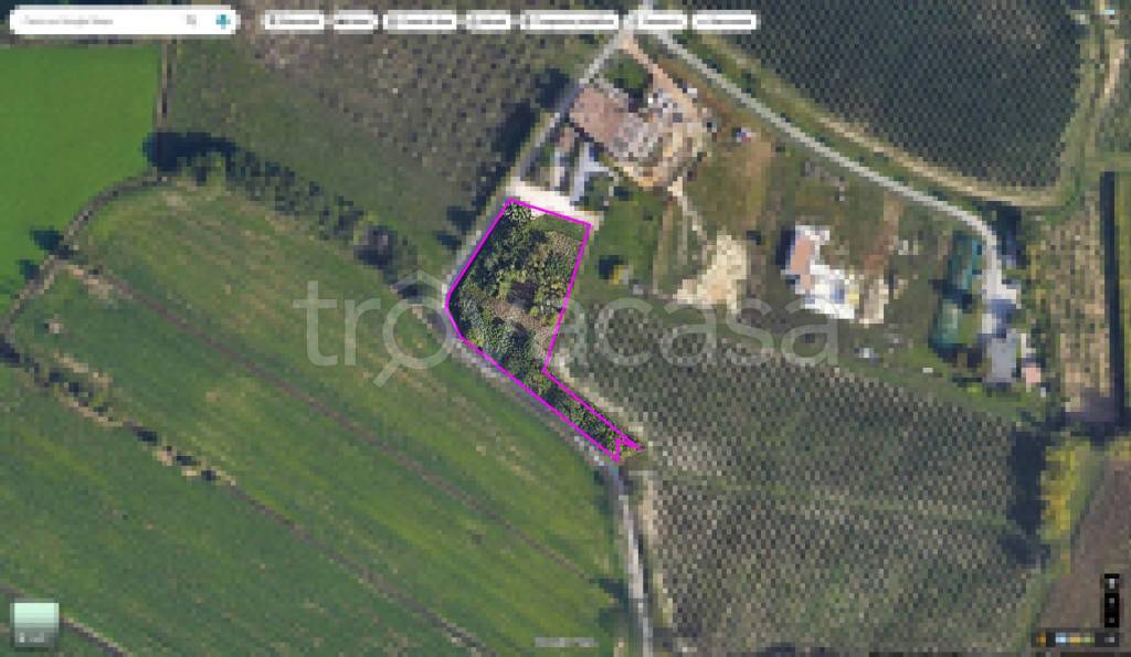 immagine annuncio 4 di 7