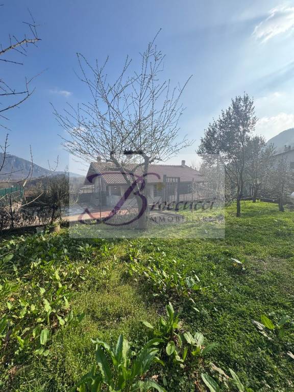 immagine annuncio 11 di 13