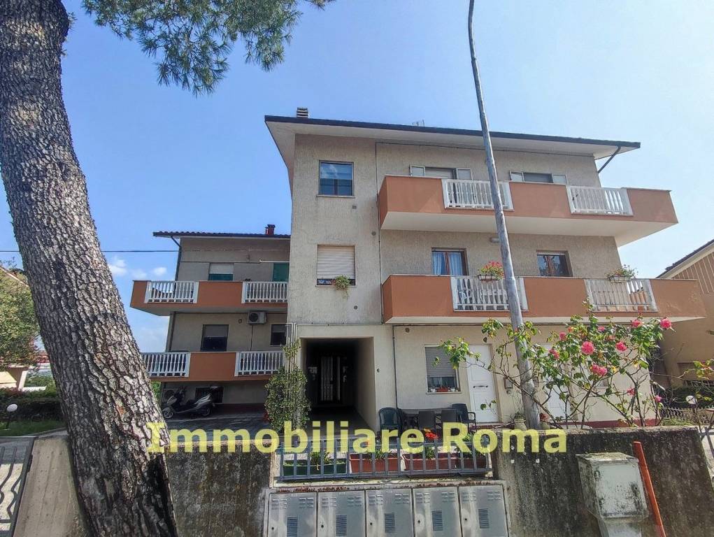 immagine annuncio 11 di 12