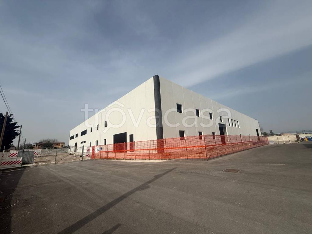 immagine annuncio 2 di 3