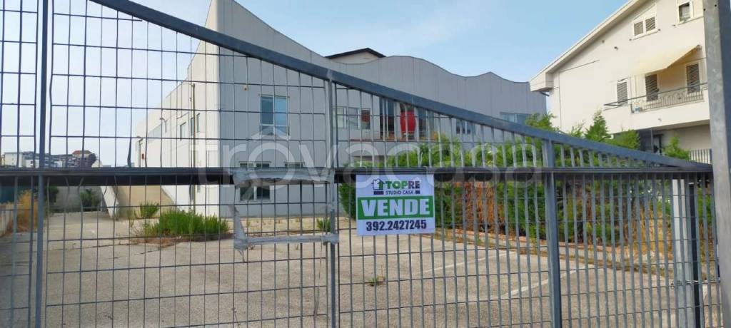 immagine annuncio 6 di 13