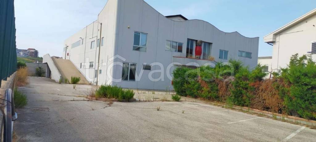 immagine annuncio 8 di 13