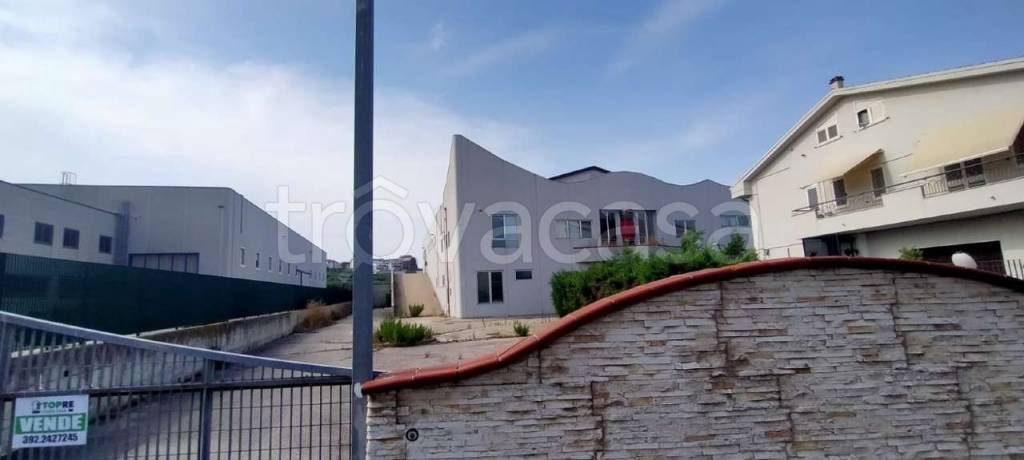 immagine annuncio 9 di 13