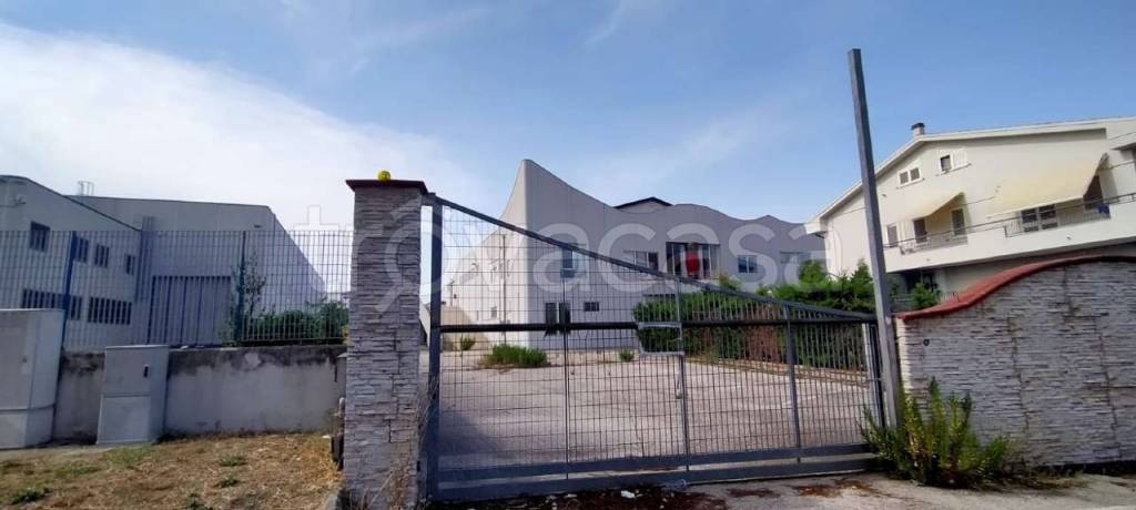 immagine annuncio 10 di 13