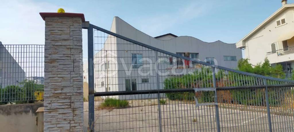 immagine annuncio 12 di 13