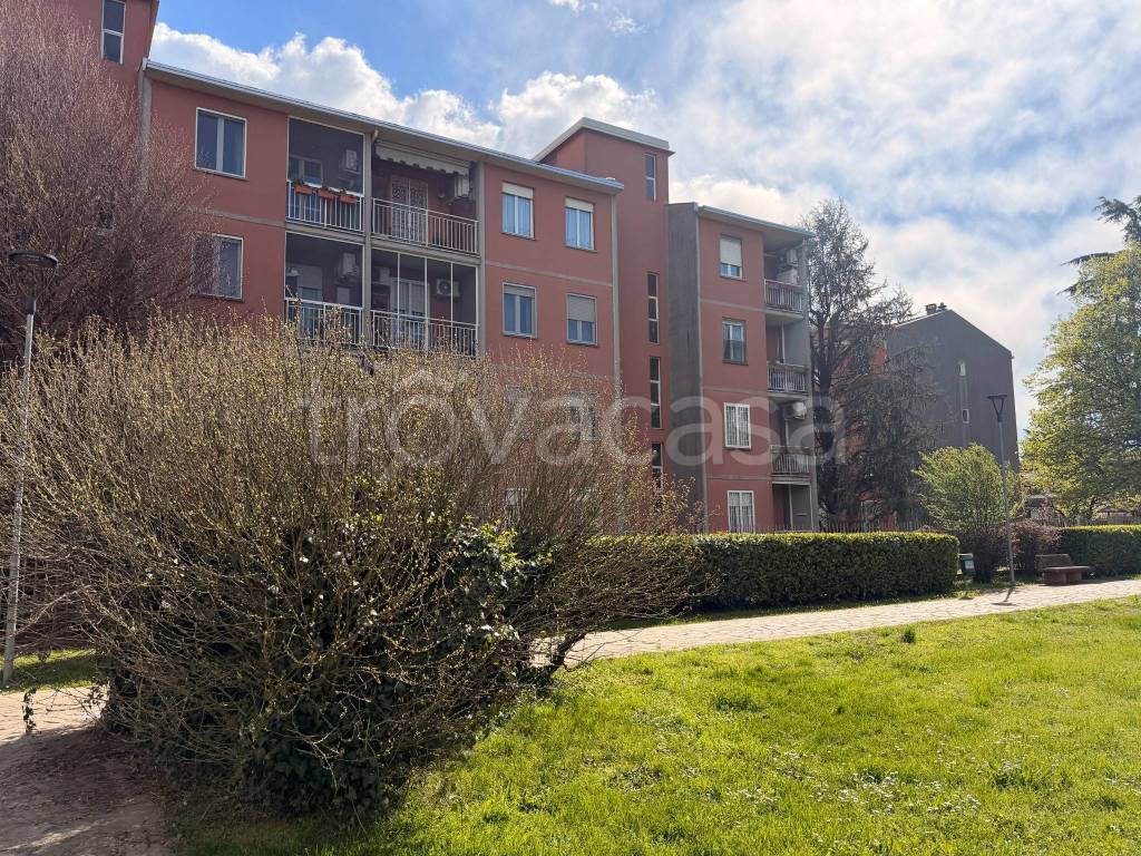 immagine annuncio 1 di 15