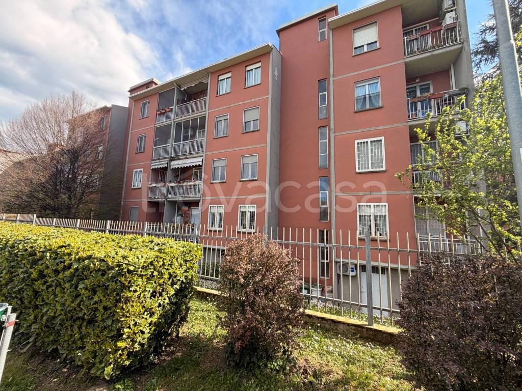 immagine annuncio 5 di 15