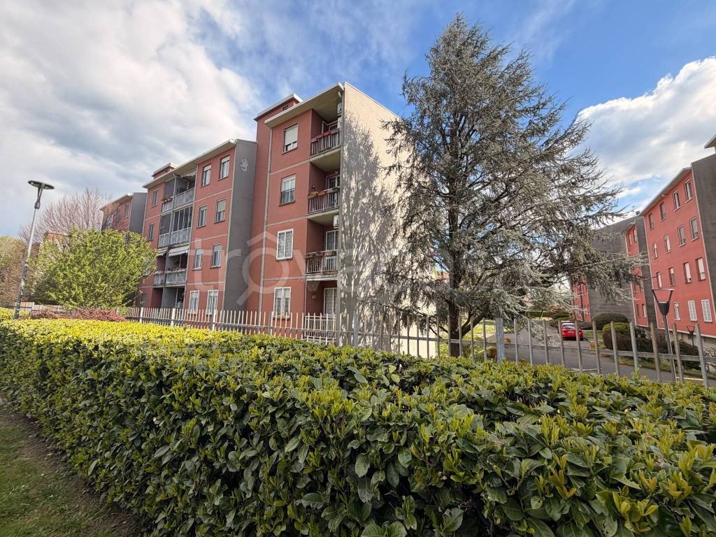 immagine annuncio 6 di 15