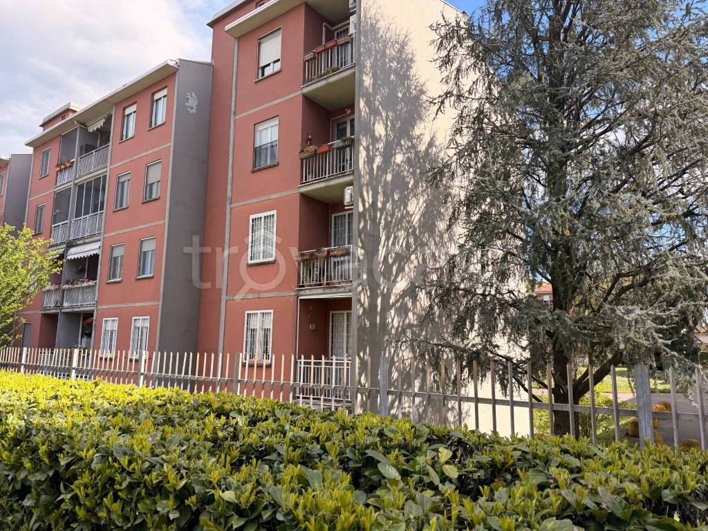 immagine annuncio 7 di 15