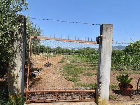 immagine annuncio 2 di 6