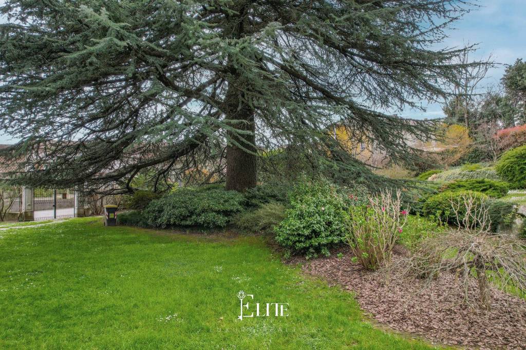 immagine annuncio 4 di 14