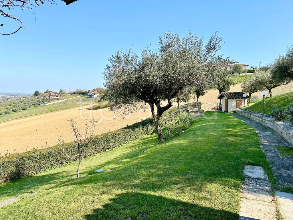 immagine annuncio 7 di 15