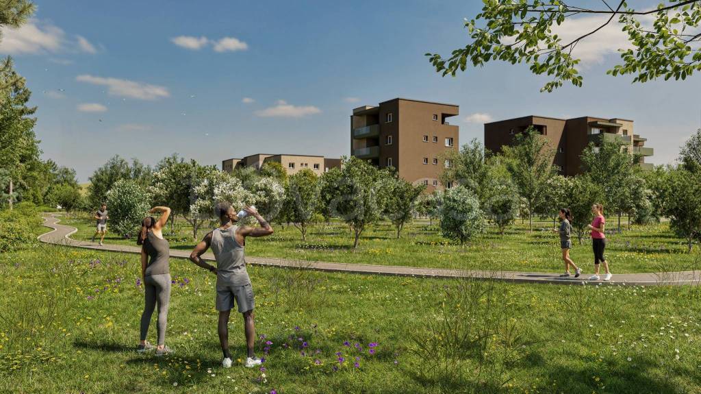 immagine annuncio 8 di 13