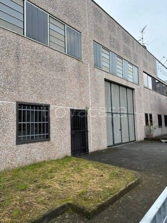 immagine annuncio 1 di 6