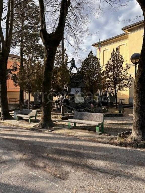 immagine annuncio 3 di 7