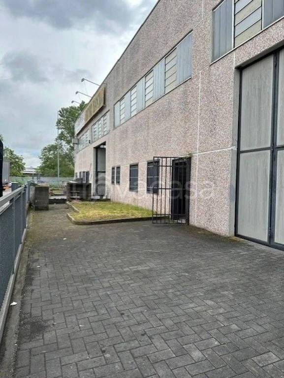 immagine annuncio 2 di 6