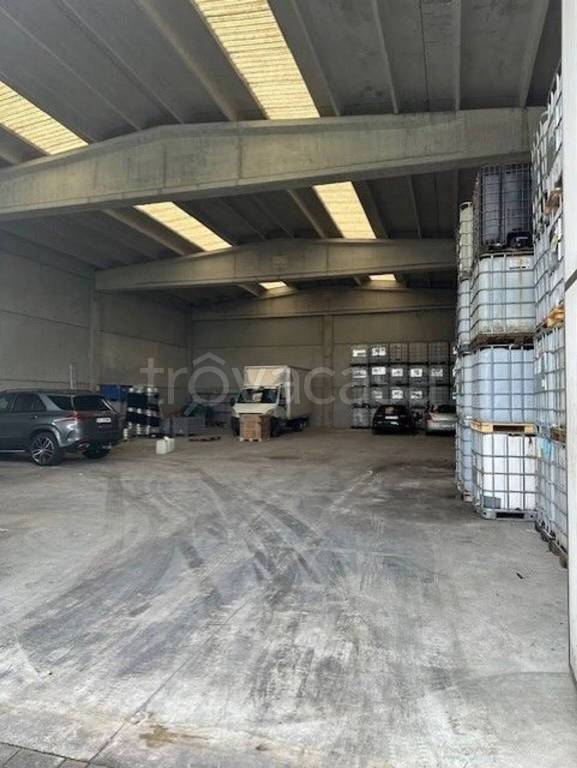 immagine annuncio 3 di 6