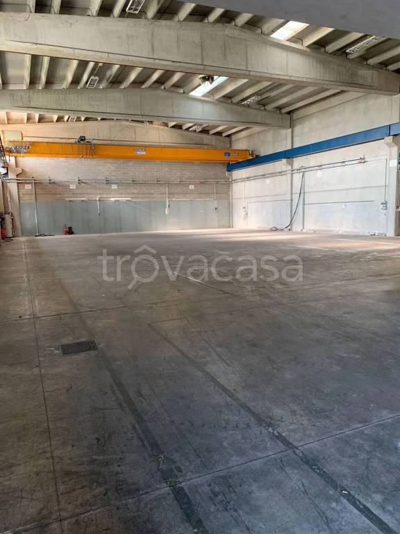 immagine annuncio 1 di 6