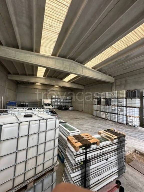 immagine annuncio 4 di 6