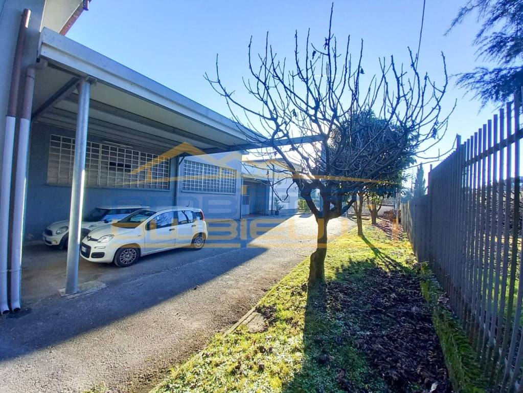 immagine annuncio 9 di 15