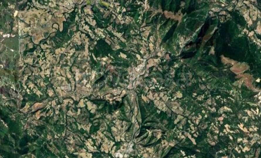 immagine annuncio 7 di 9