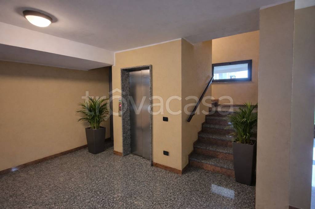 immagine annuncio 4 di 13